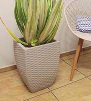Rattan