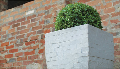 Minas Stone