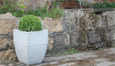 Minas Stone